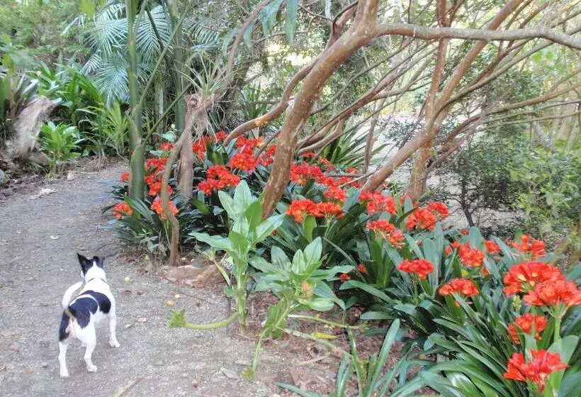 Wharepuke Subtropical Accommodation