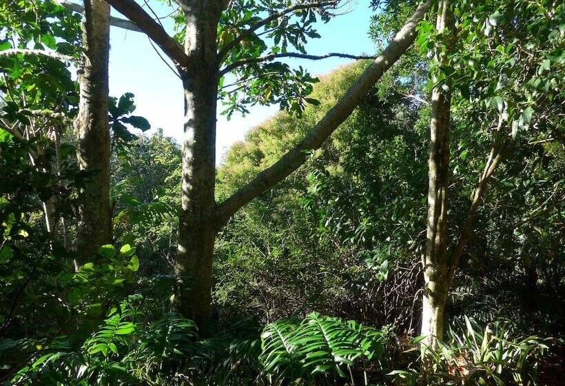 Wharepuke Subtropical Accommodation