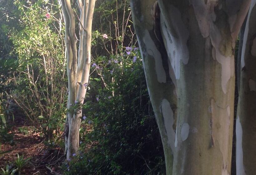 Wharepuke Subtropical Accommodation