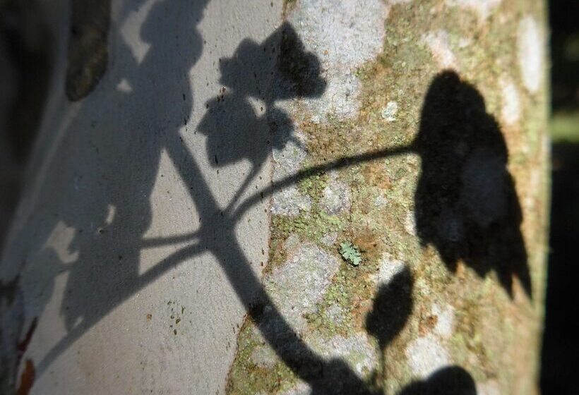 Wharepuke Subtropical Accommodation