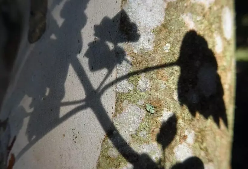 Wharepuke Subtropical Accommodation