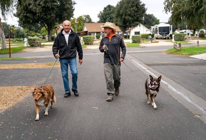 Flying Flags Rv Resort & Campground