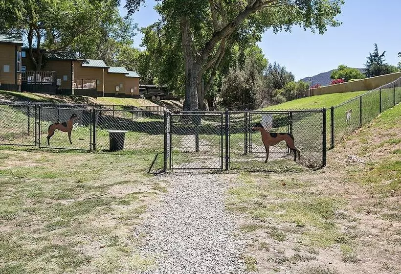 Flying Flags Rv Resort & Campground