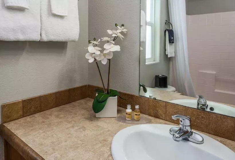 Flying Flags Rv Resort & Campground