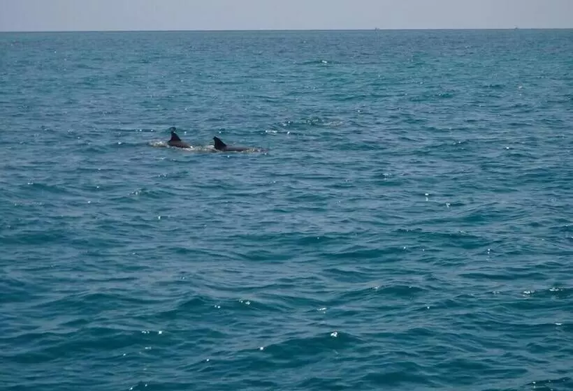 ホテル Sail Florida Adventures