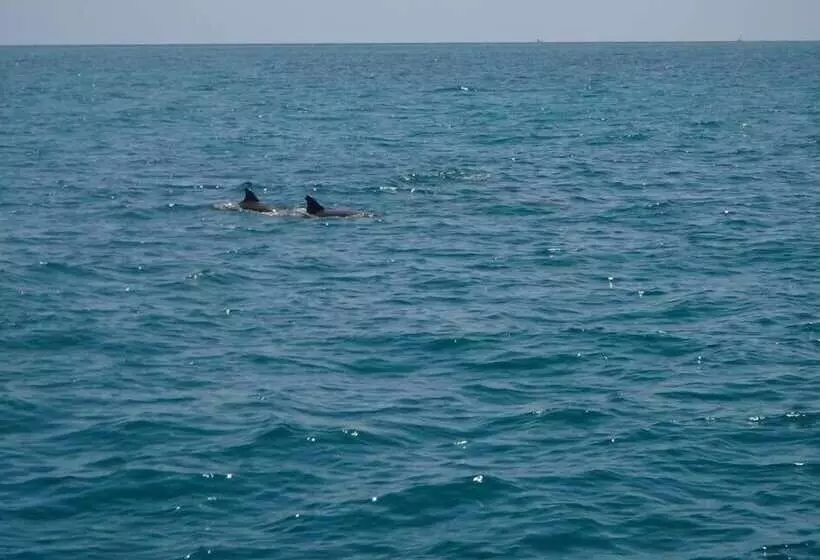 ホテル Sail Florida Adventures