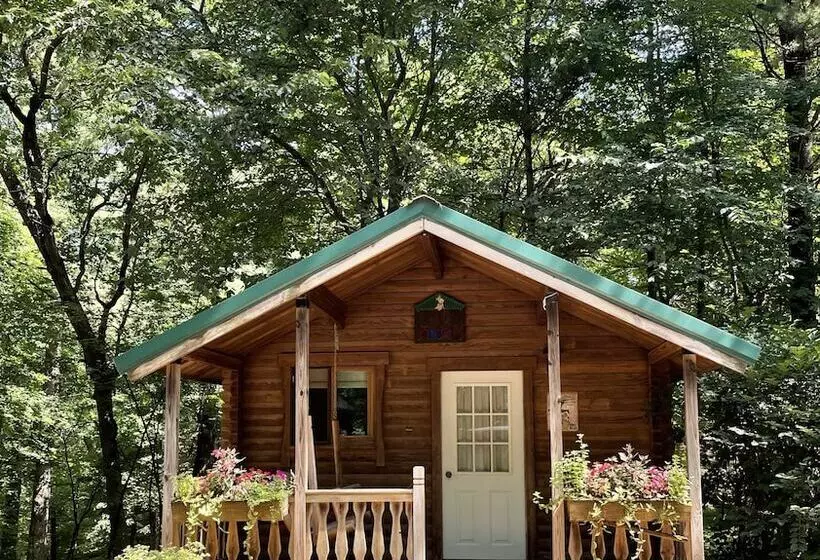 ホテル Yogi Bear S Jellystone Park Camp Resort Wisconsin Dells