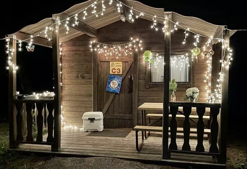 ホテル Yogi Bear S Jellystone Park Camp Resort Wisconsin Dells