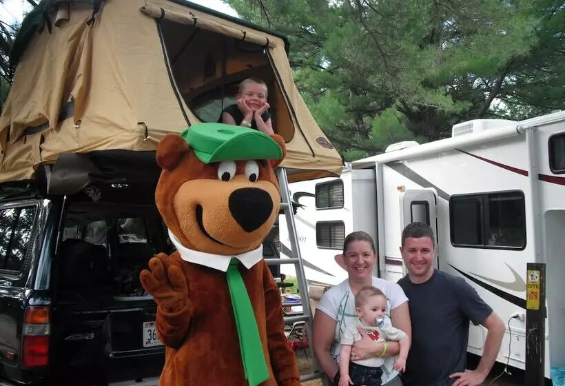 ホテル Yogi Bear S Jellystone Park Camp Resort Wisconsin Dells