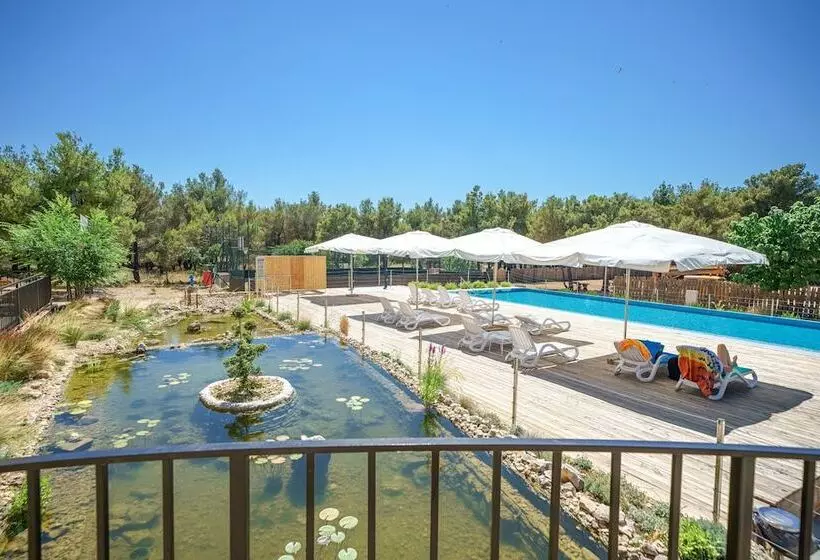 Hotelli Spacious Park View Room With Breakfast Included