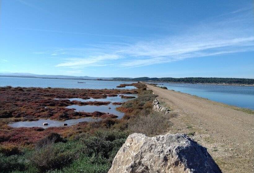 ペンション Gîte Et Chambres D Hôtes Le Coq Du Nord Mailhac