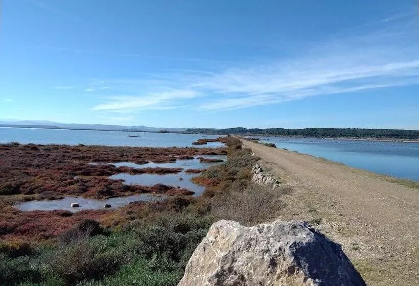 ペンション Gîte Et Chambres D Hôtes  Le Coq Du Nord   Mailhac