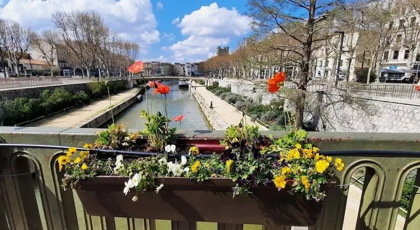 ペンション Gîte Et Chambres D Hôtes  Le Coq Du Nord   Mailhac