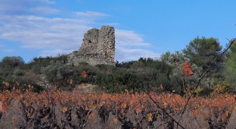 ペンション Gîte Et Chambres D Hôtes Le Coq Du Nord Mailhac