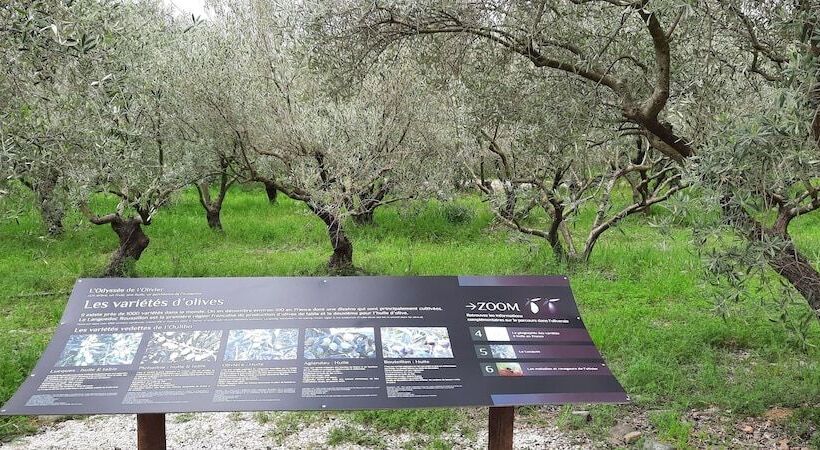 ペンション Gîte Et Chambres D Hôtes Le Coq Du Nord Mailhac