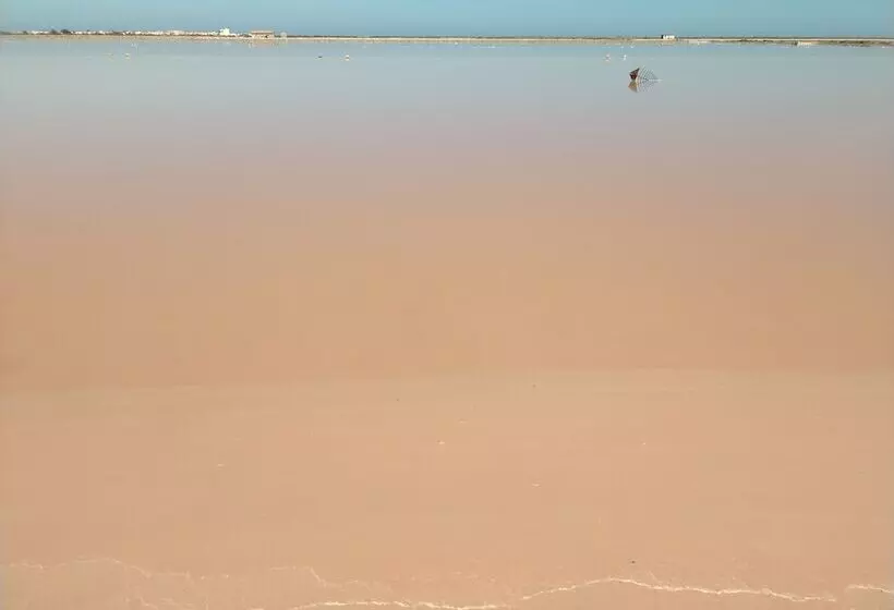 ペンション Gîte Et Chambres D Hôtes  Le Coq Du Nord   Mailhac