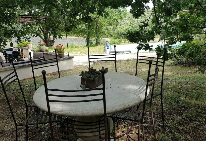 بنسيون Mas De Pantaï