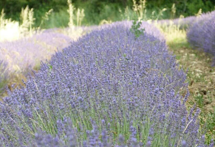 بنسيون Mas De Pantaï