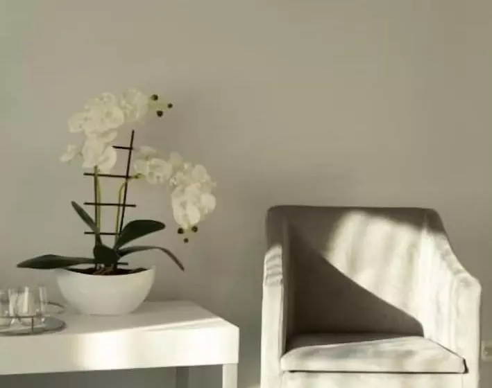 I Apartamenty Pod śnieżnikiem