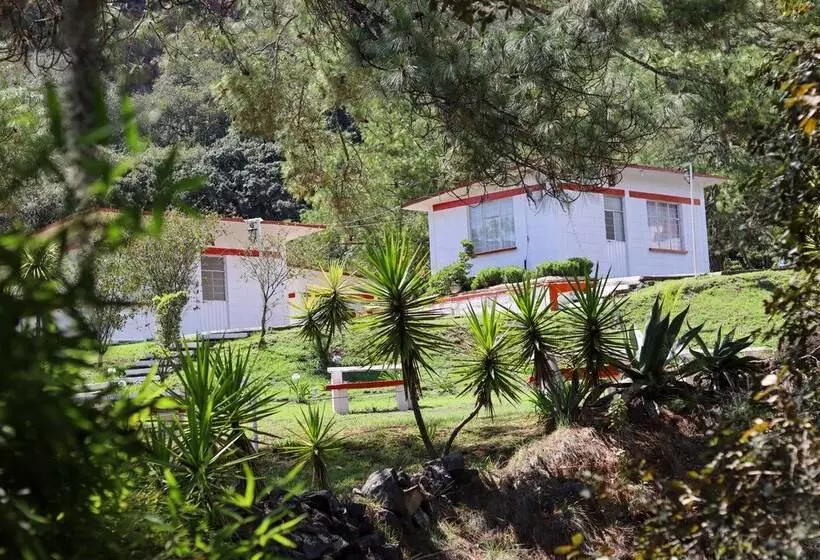 ホテル Bungalows Villa Limon