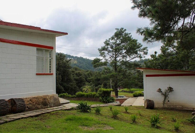 هتل Bungalows Villa Limon