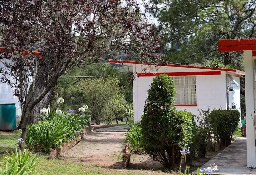 ホテル Bungalows Villa Limon