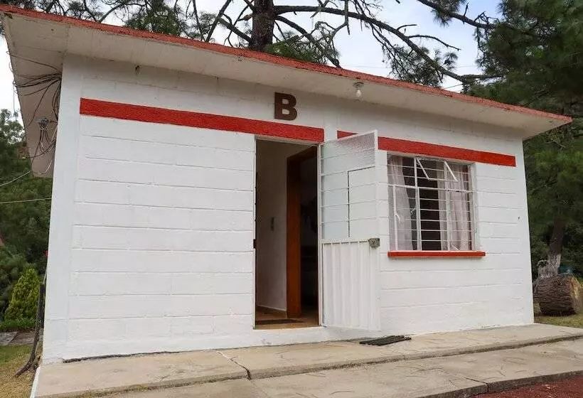 ホテル Bungalows Villa Limon