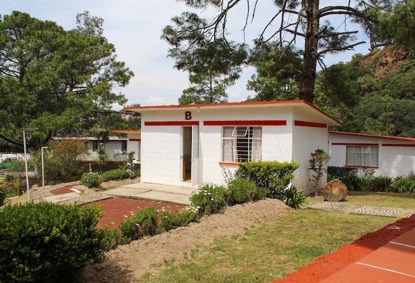 هتل Bungalows Villa Limon