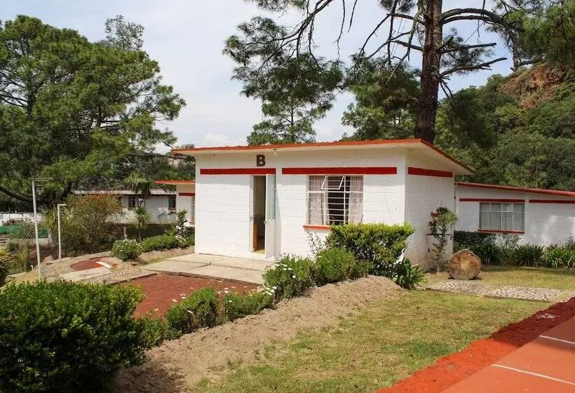 ホテル Bungalows Villa Limon