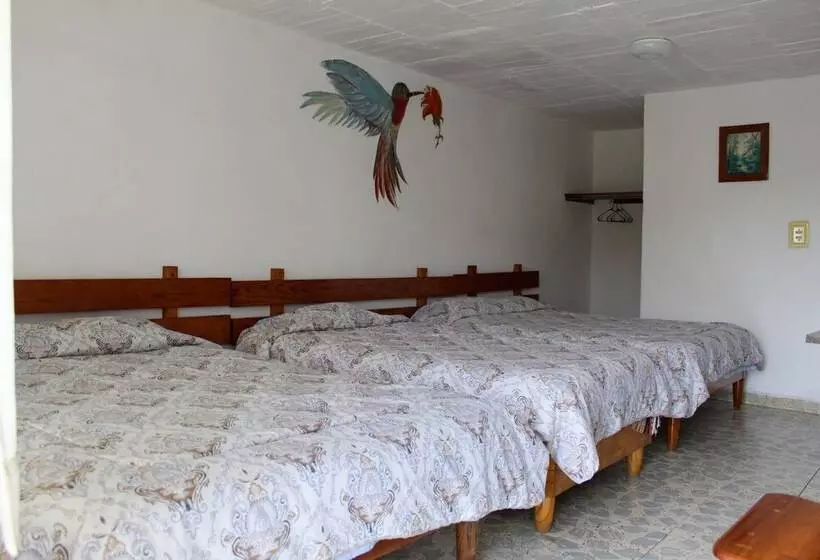 ホテル Bungalows Villa Limon