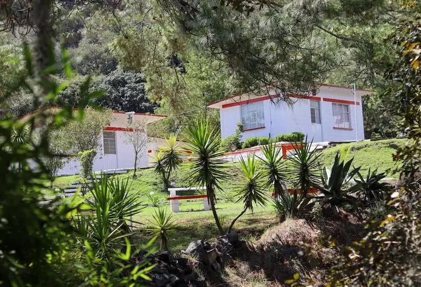 ホテル Bungalows Villa Limon