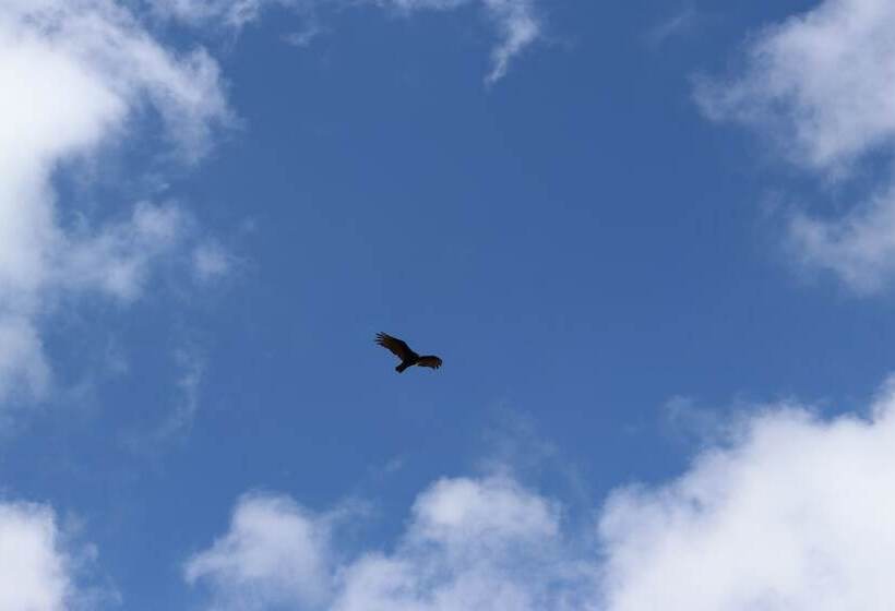 هتل Bungalows Villa Limon