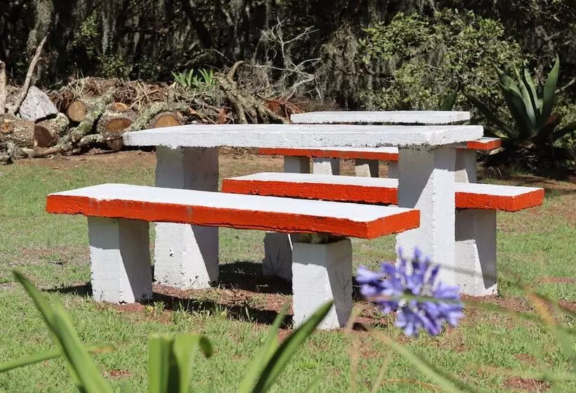 ホテル Bungalows Villa Limon