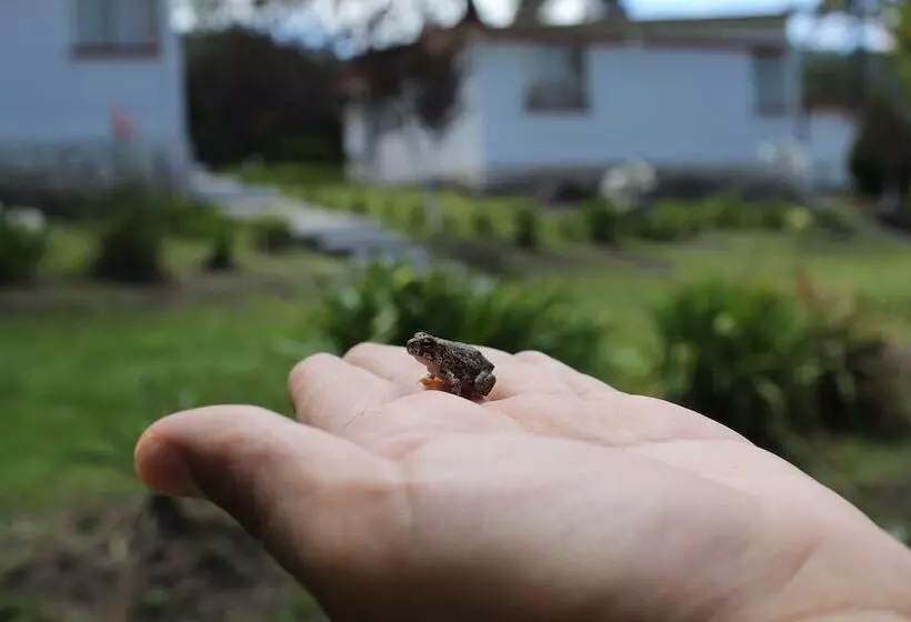 ホテル Bungalows Villa Limon