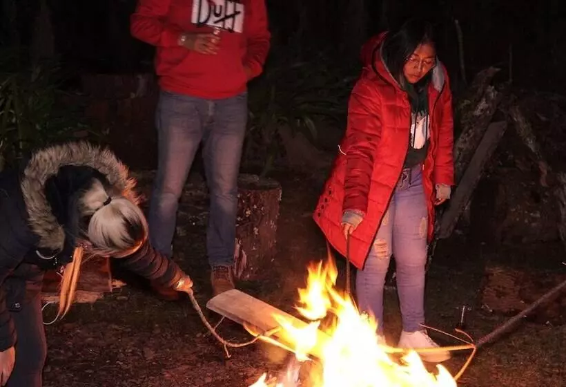 ホテル Bungalows Villa Limon