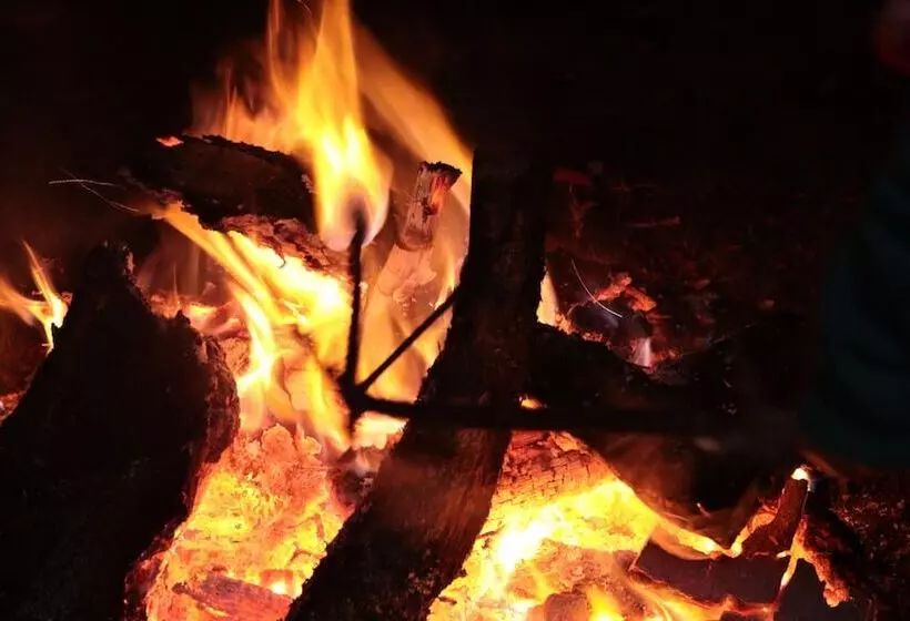 ホテル Bungalows Villa Limon