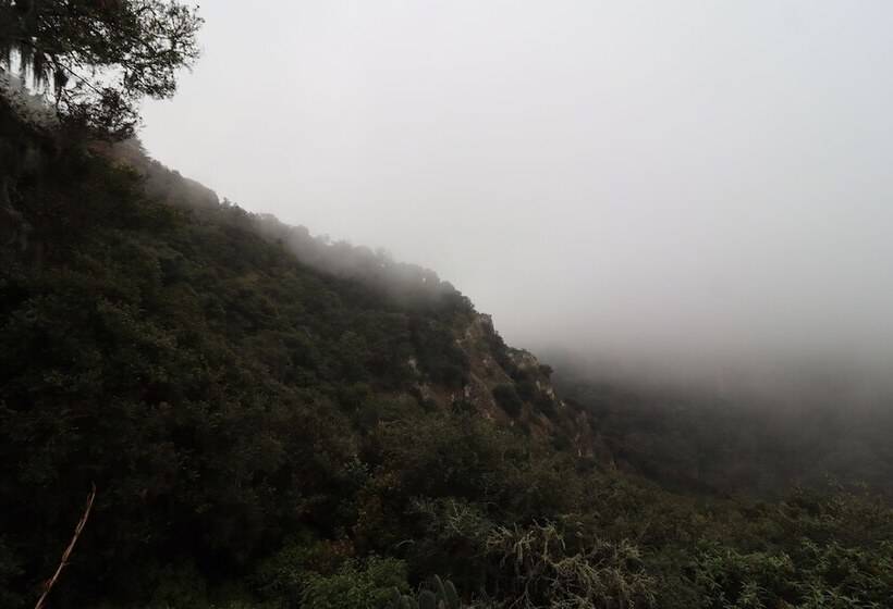 هتل Bungalows Villa Limon