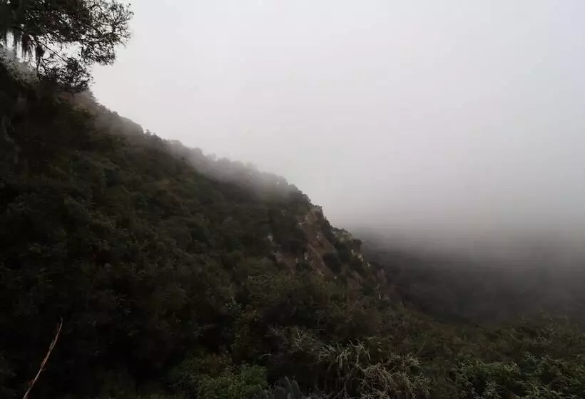 ホテル Bungalows Villa Limon