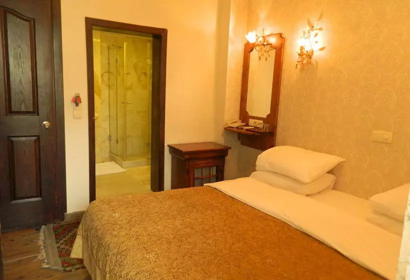 ホテル Apricot  Istanbul