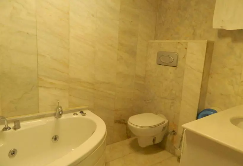 ホテル Apricot  Istanbul