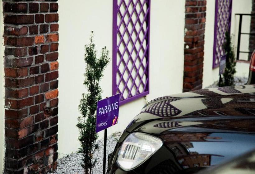 Blooms Boutique Hostel