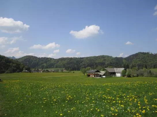 Bauernhof Hofbauer