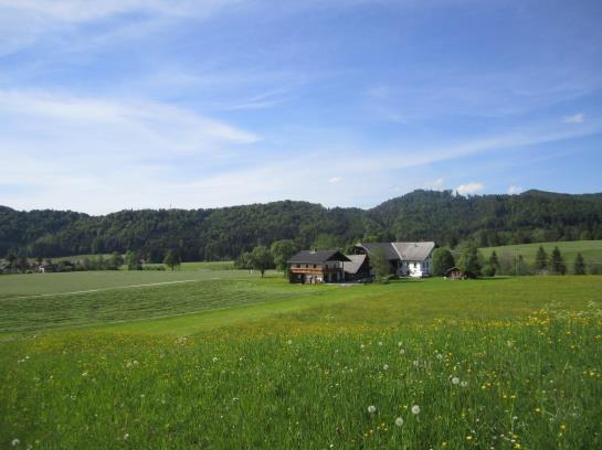 Bauernhof Hofbauer