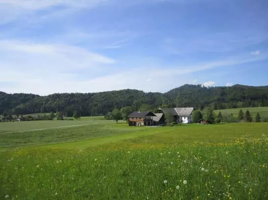Bauernhof Hofbauer