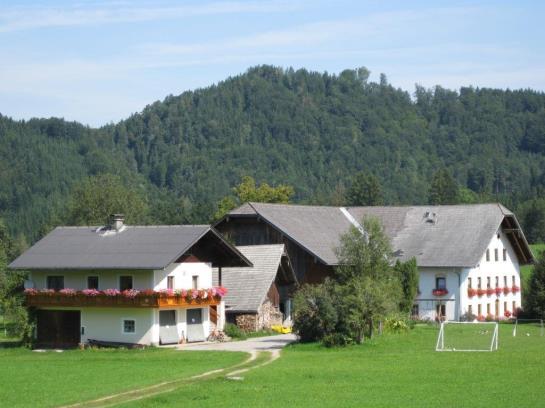 Bauernhof Hofbauer