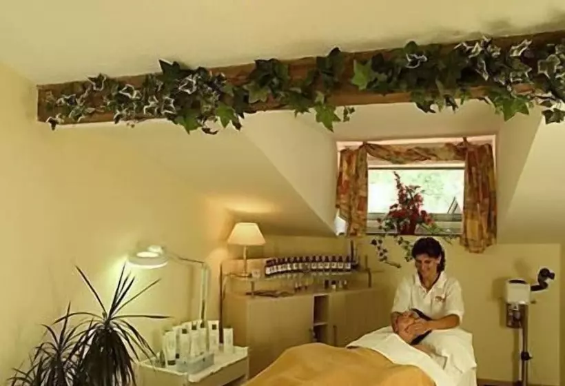 ホテル Bergland Obsteig