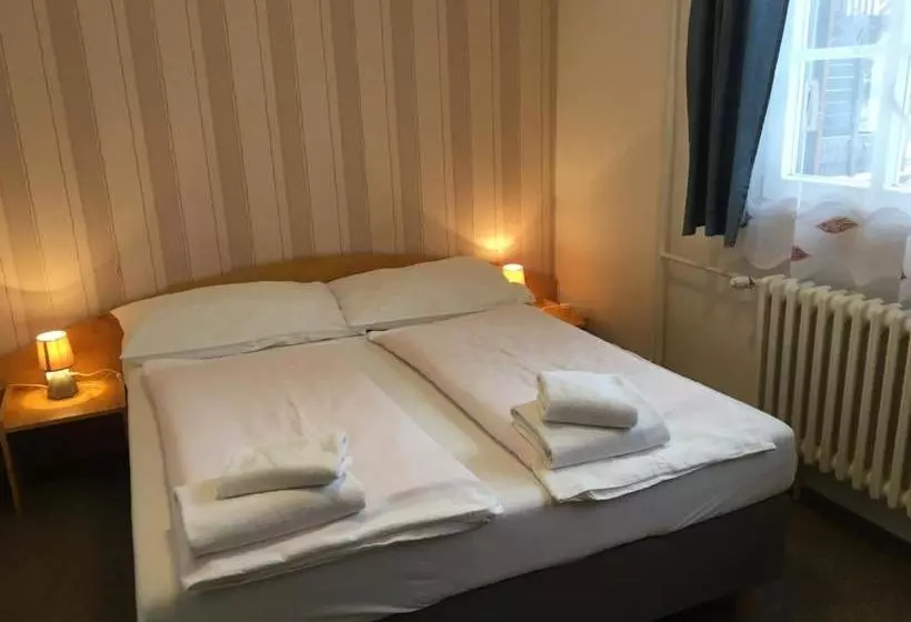هتل Tři Růže