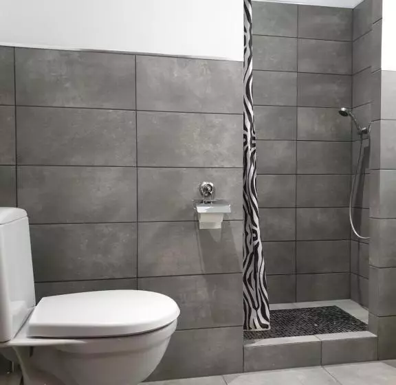 Отель Willa Pirs