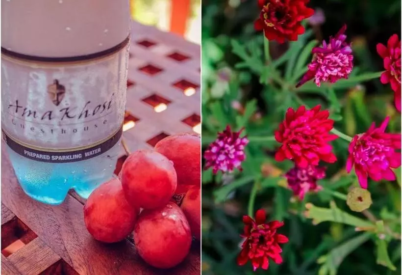 膳宿费 Amakhosi Guesthouse