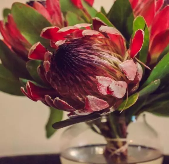 膳宿费 Amakhosi Guesthouse